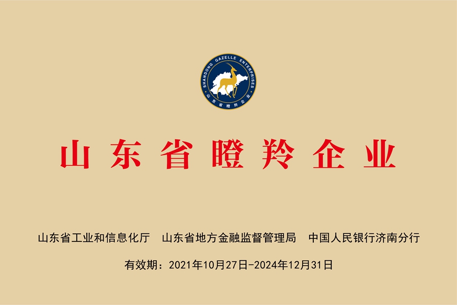 国网中电公司：山东省瞪羚企业